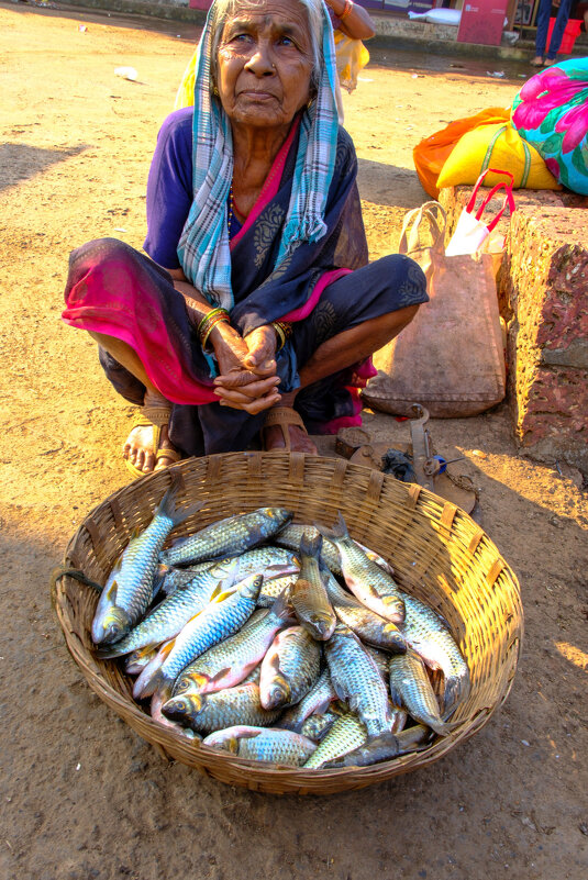 Продавщица рыб на рынке - Георгий А