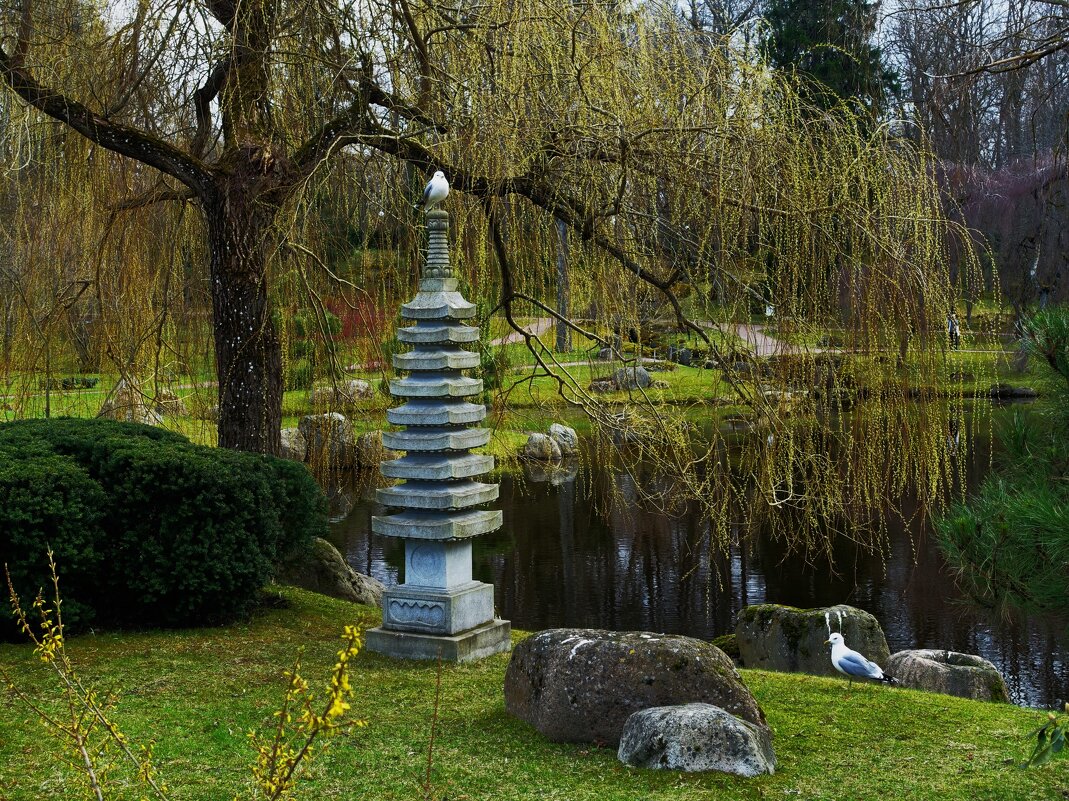 Апрель в Японском саду Кадриорга - Aida10 