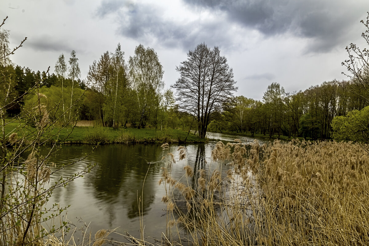 *** - Николай Климович