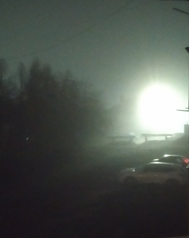 В тумане - Елена Елена
