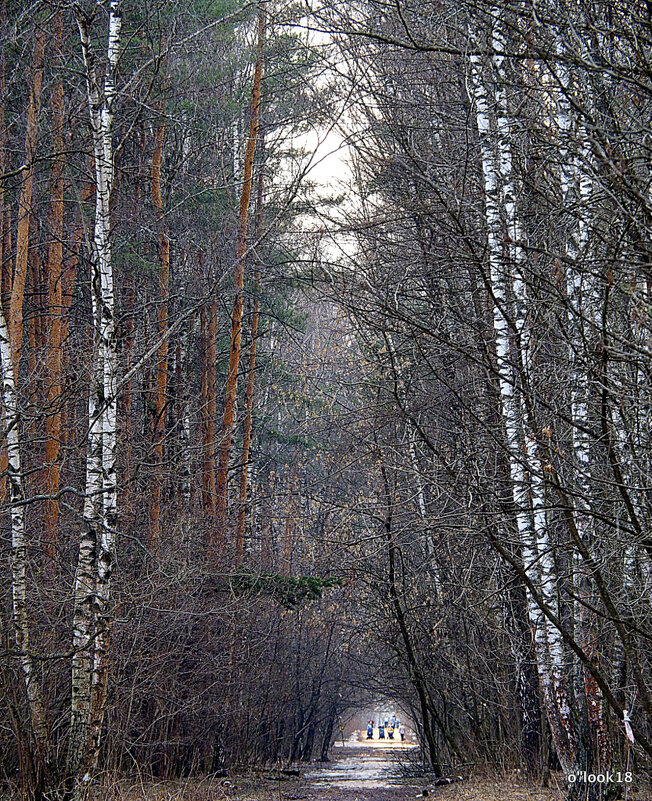 лесные прогулки - Олег Лукьянов