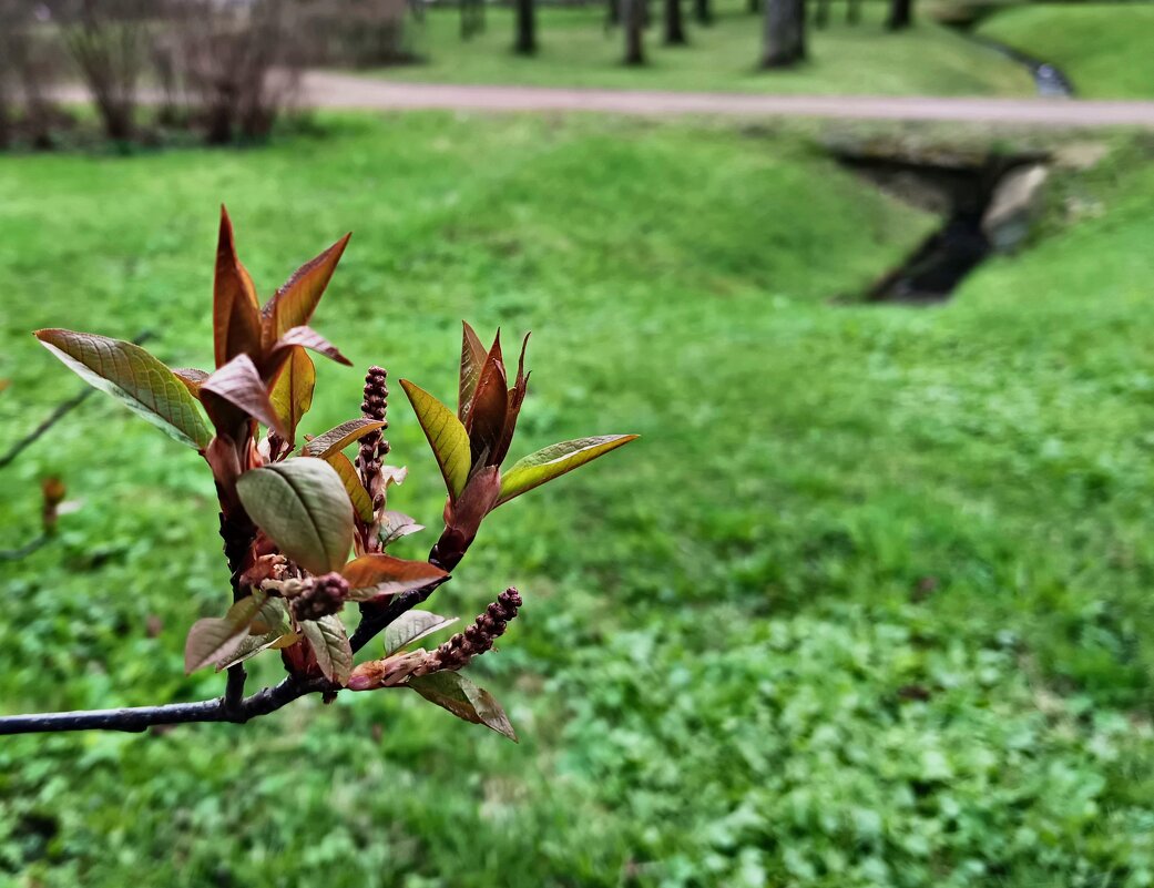 Пробуждение природы... - Мария Васильева