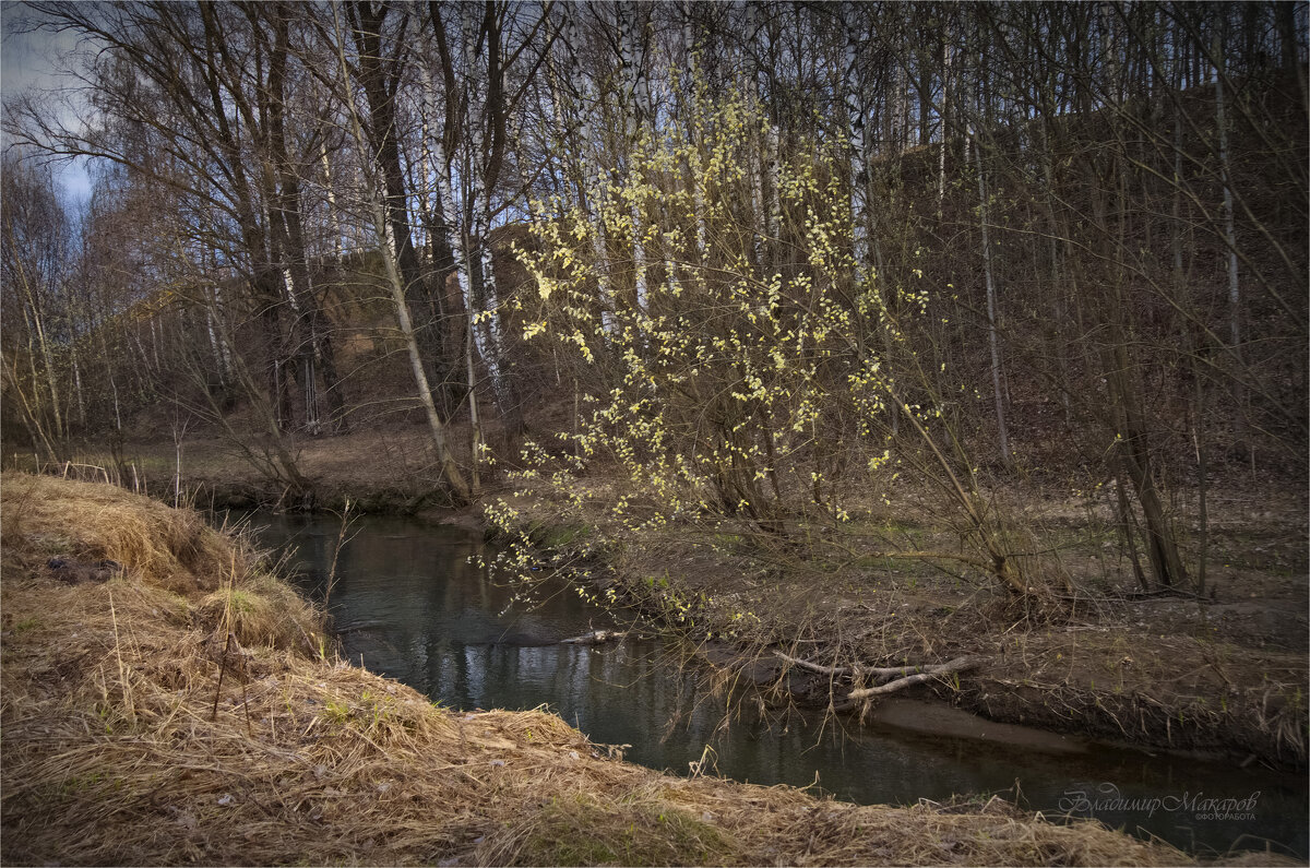 "Цветение над речкой в апреле"© - Владимир Макаров