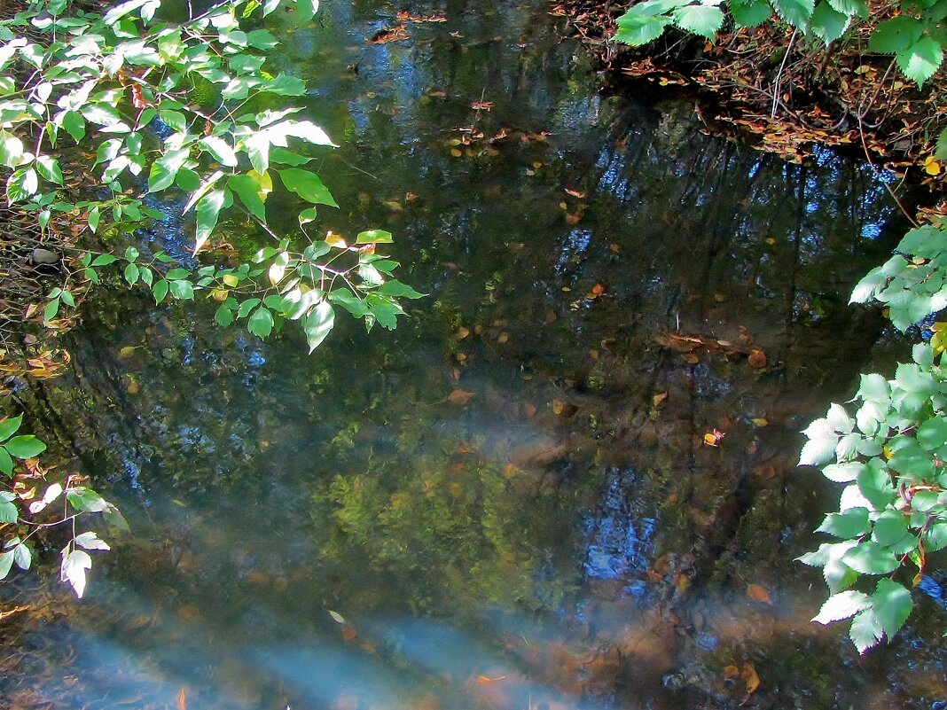 .. маленькая речка Ичка , питающая Джамгаровские пруды.. - galalog galalog