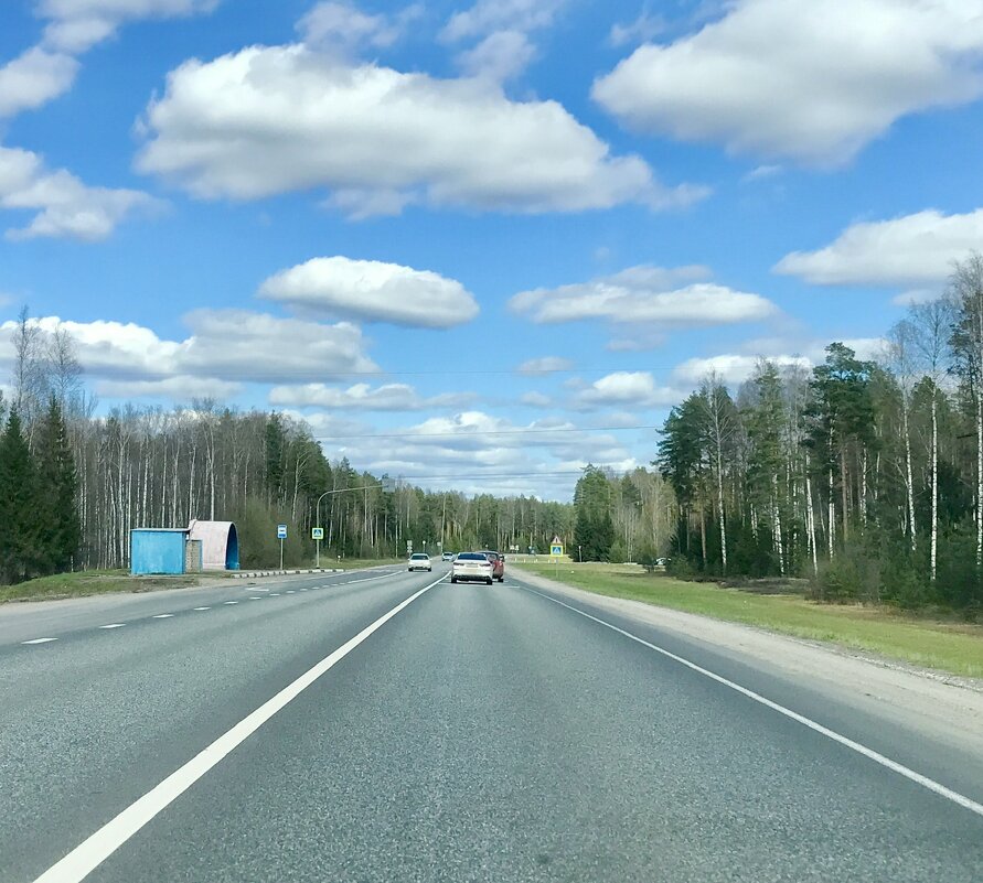 По дороге с облаками - Татьяна 
