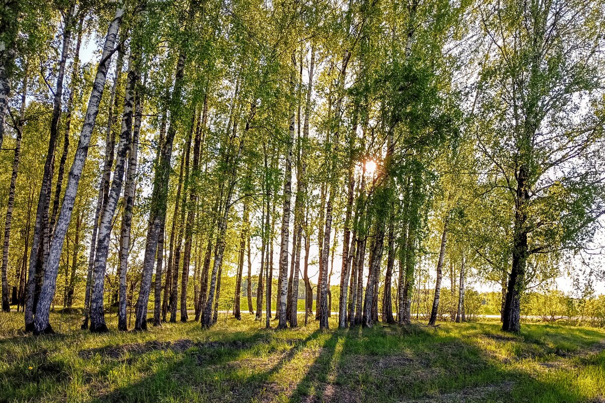 *** - Солнечный Странник