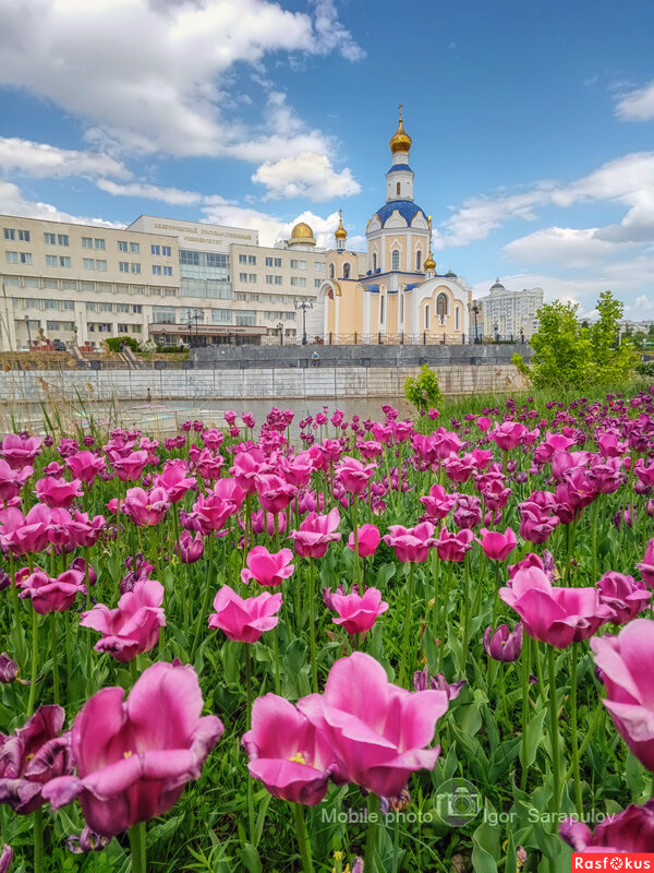 Великая Суббота - Игорь Сарапулов