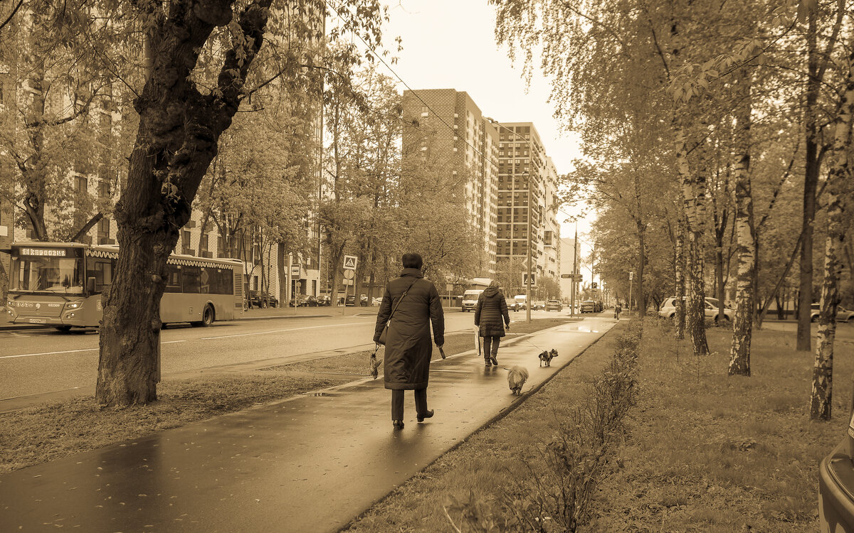 Городская Зарисовка - юрий поляков