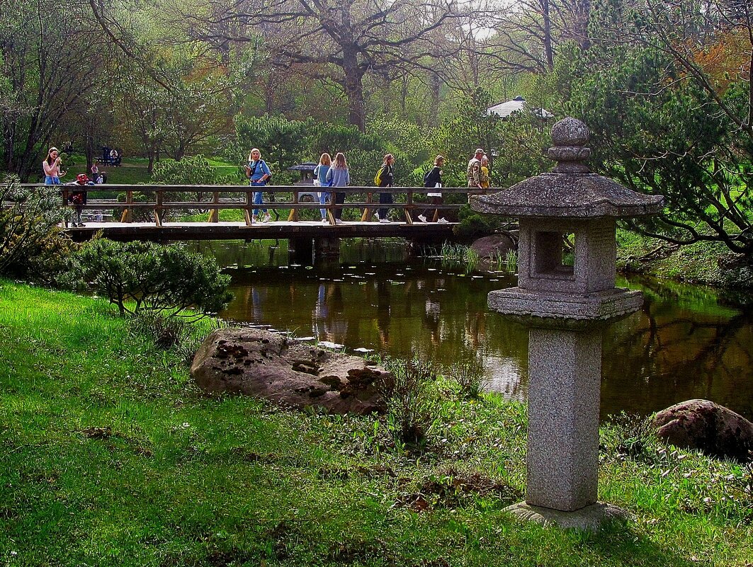 .. поиски цветущей сакуры в японском саду... - galalog galalog