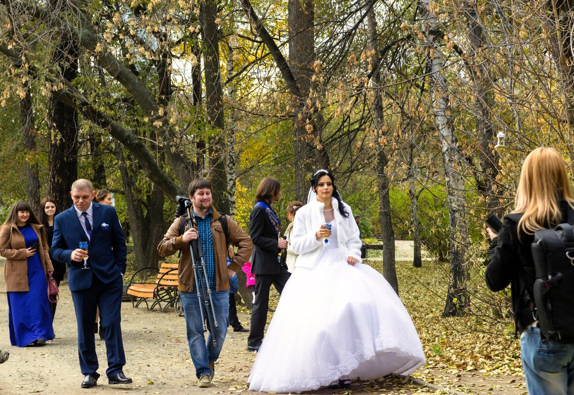Случайная свадьба в парке... - Наталья 