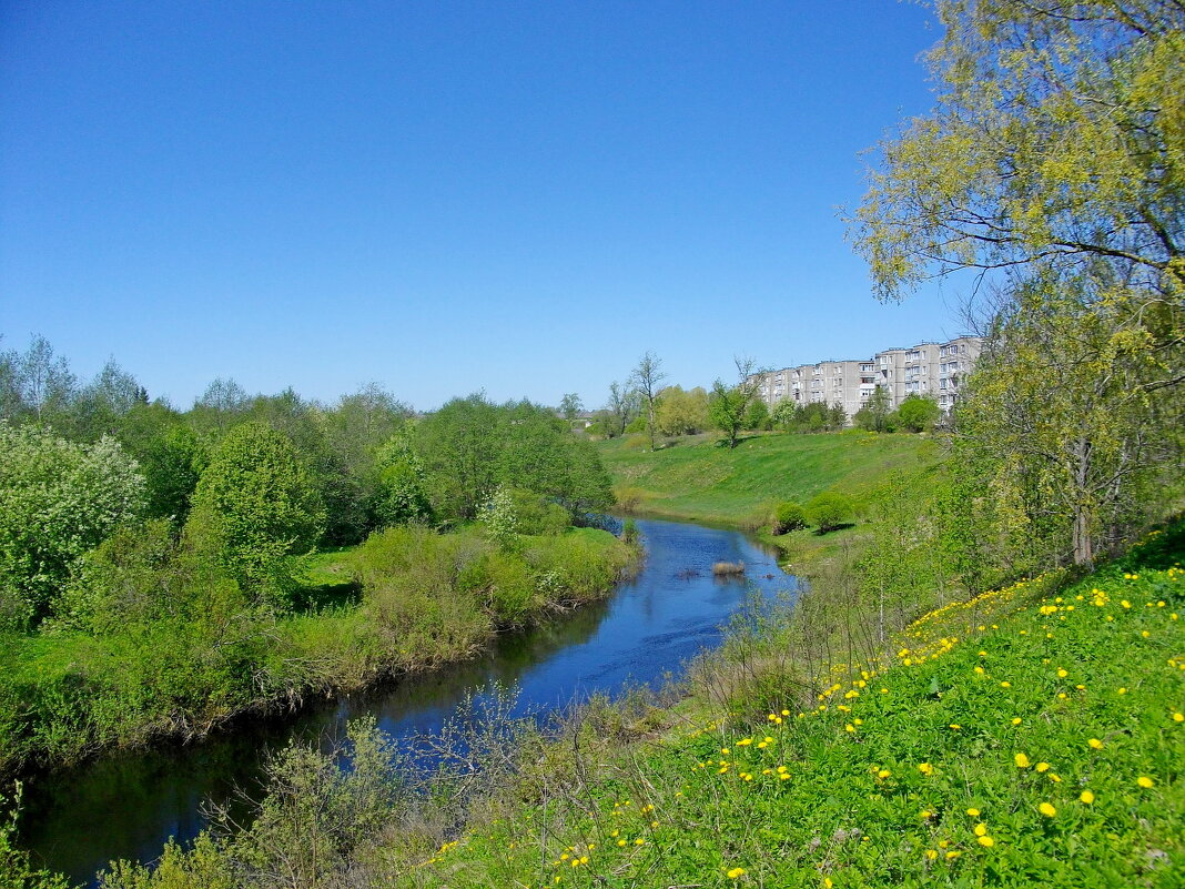 Река Кересть в городе Чудово. - Лия ☼