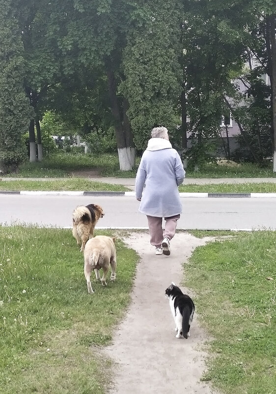 Две собаки и... кошка! - Валентина  Нефёдова 