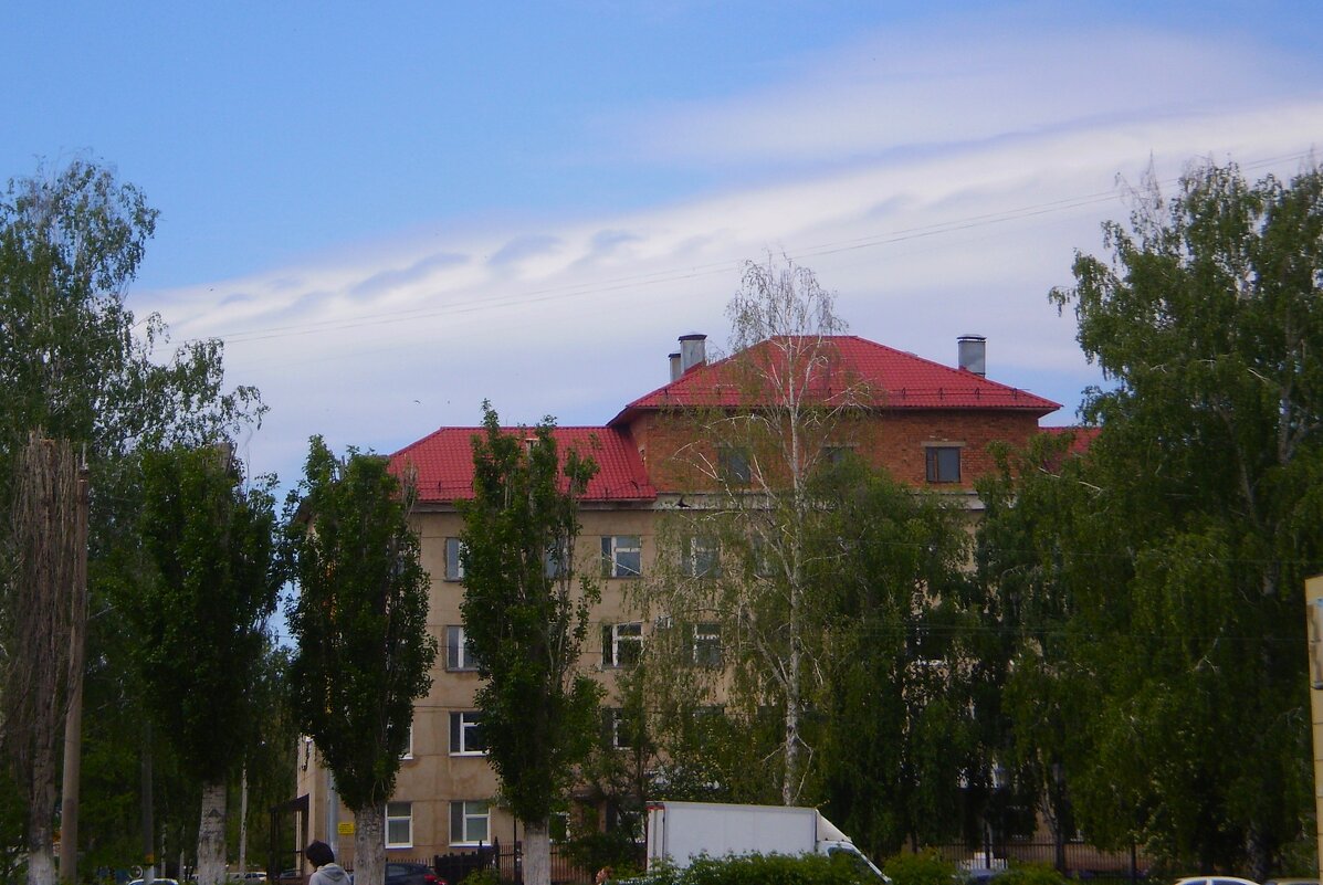 Май в городе. - Венера Чуйкова