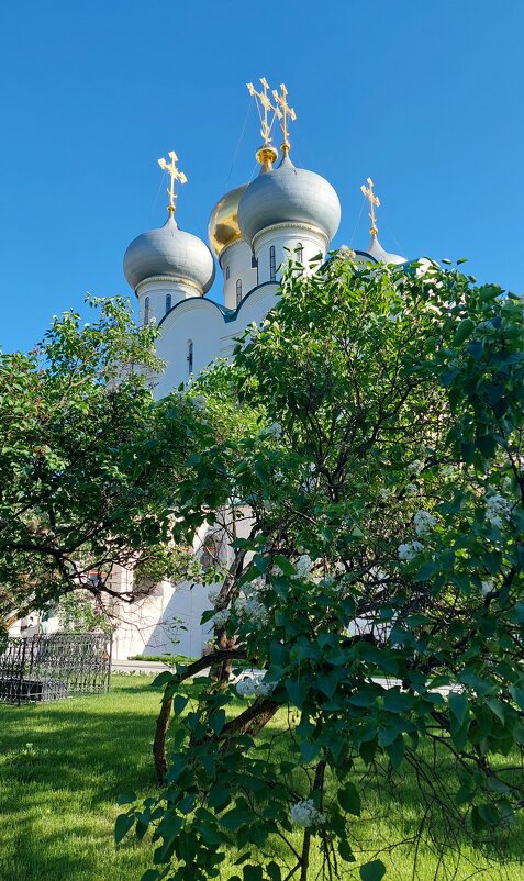 В Новодевичьем монастыре - ИРЭН@ .