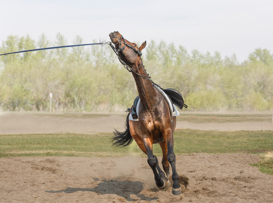 На корде - SanSan 