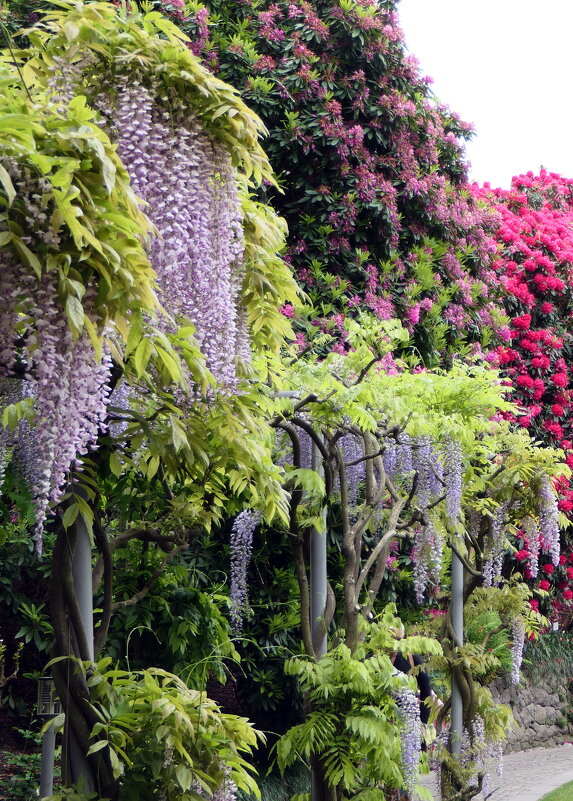 Botanische Gärten von Schloss "Trauttmansdorff" in Meran / Südtirol - Italien - "The Natural World" Александер