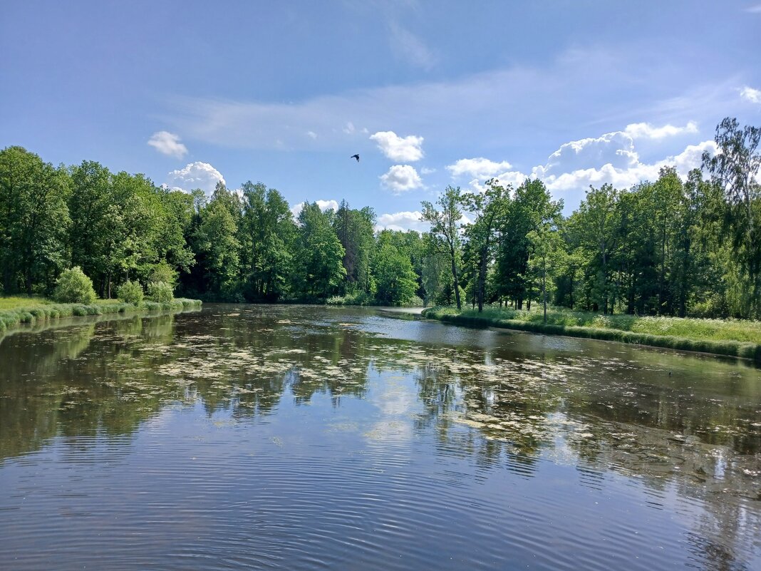 В Александровском парке. - Лия ☼