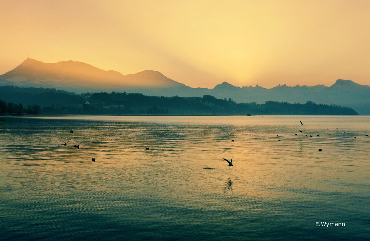 Vierwaldstättersee, sunrise - Elena Wymann