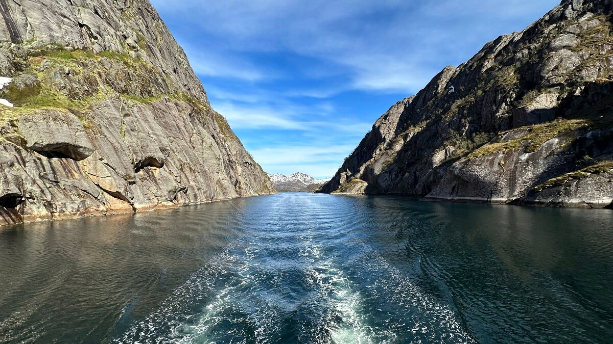 Лето в Северном Ледовитом океане /Норвегия/...Ein Sommer im Nordpolarmeer / Norwegen / - "The Natural World" Александер