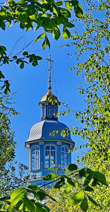 Петропавловка - Михаил Свиденцов