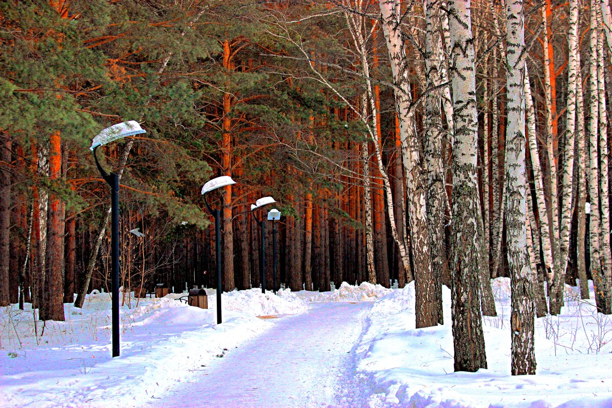 Зимний Красноярск - Василий 