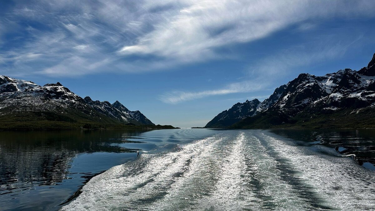 Ein Sommer im Nordpolarmeer / Norwegen / - "The Natural World" Александер