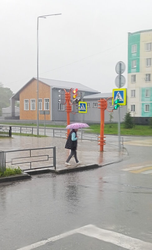 В моём городе идёт дождь. - Анатолий Пашковский