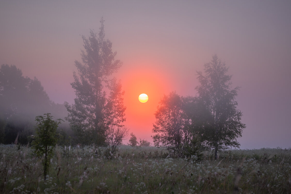 **** - Елизавета .