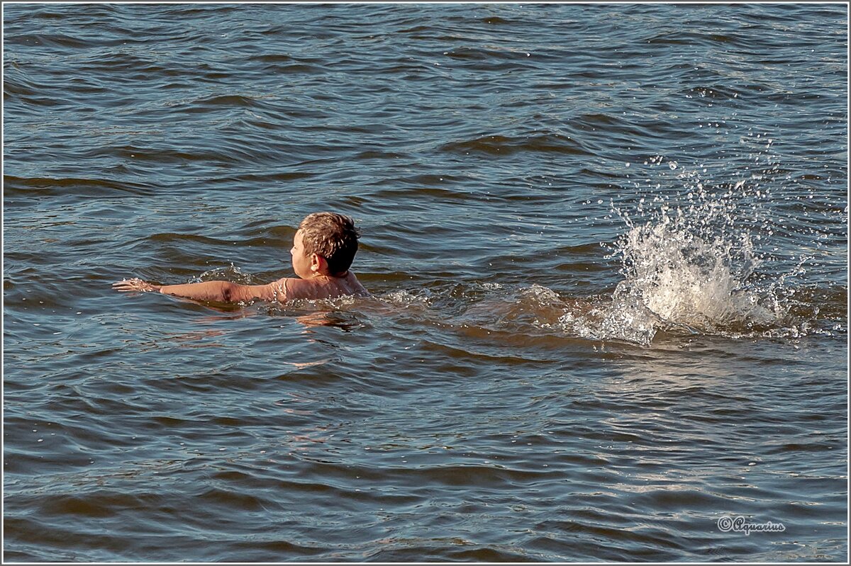 Летний вечер у воды... - Aquarius - Сергей