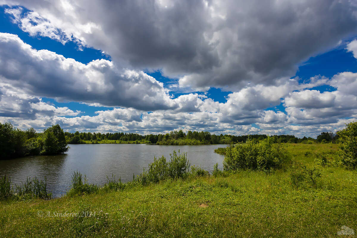 Летняя природа - Александр Синдерёв