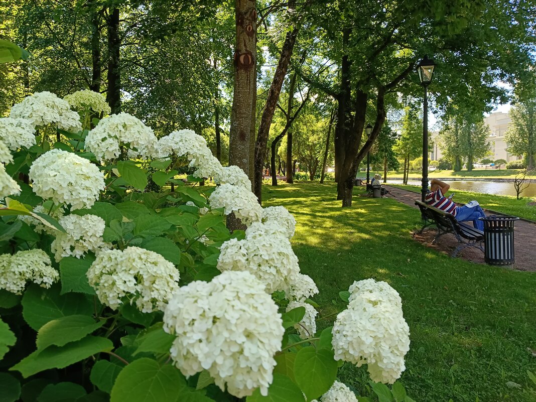 В городском саду - Мария Васильева