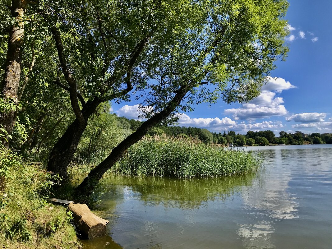 Воздух, солнце и вода! - Любовь 