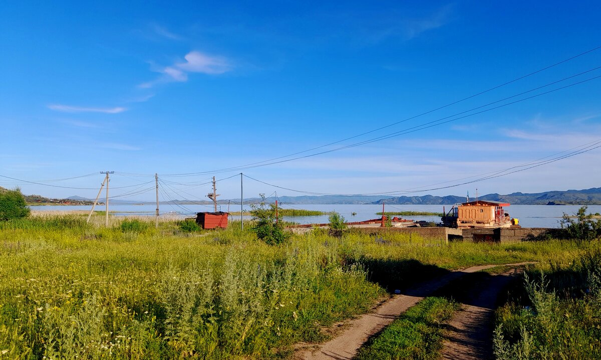 Электрические паутины на берегах Бухтарминского водохранилища . - Мила Бовкун