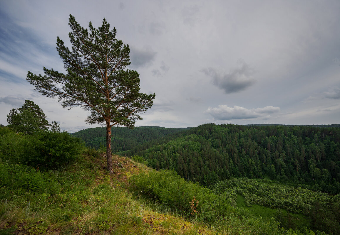 * - Александр Иванов