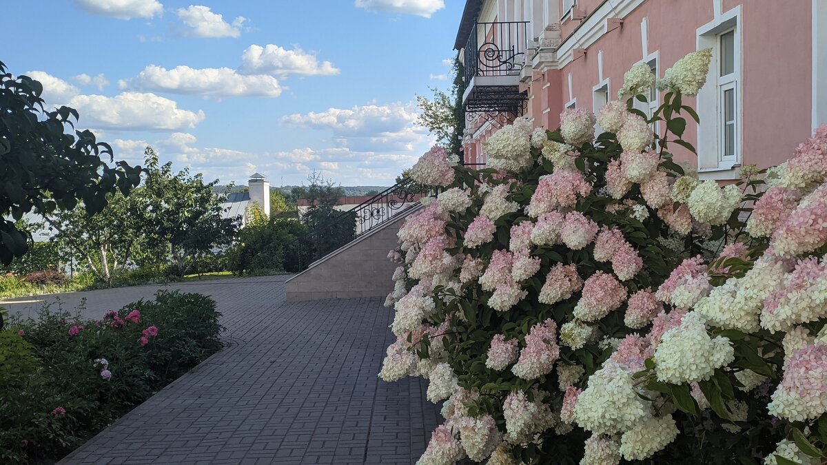 Цветочное лето - Елена Сергеева