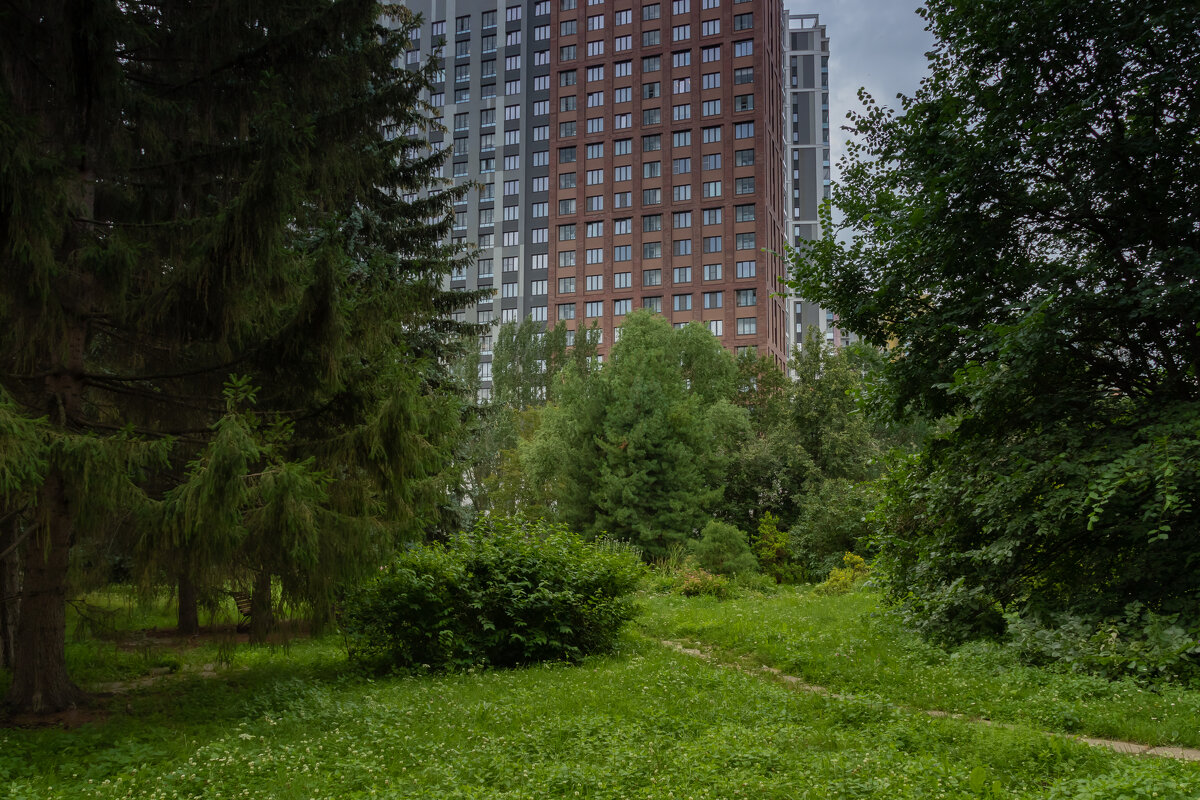 Фото.25.07.2024.Екатеринбург.Пасмурным днём в Ботаническом Саду - Михаил Пименов