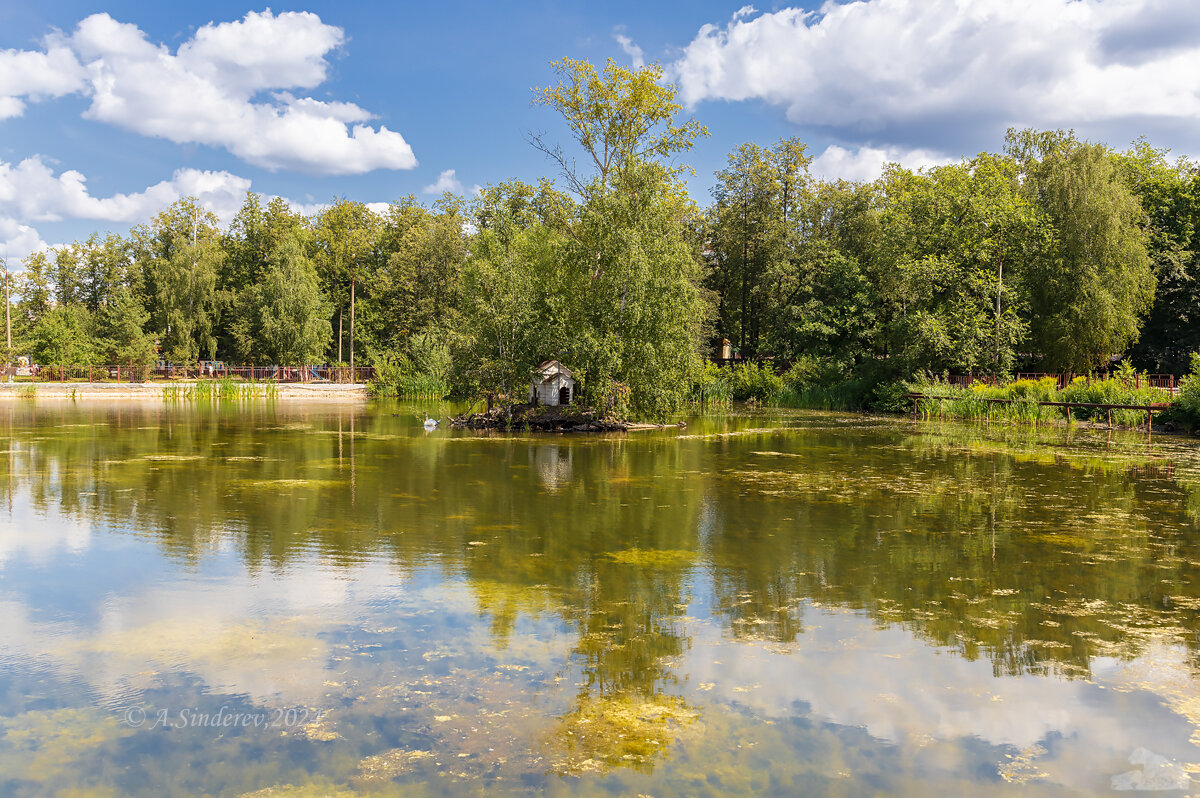 Лебединое озеро в городском парке - Александр Синдерёв