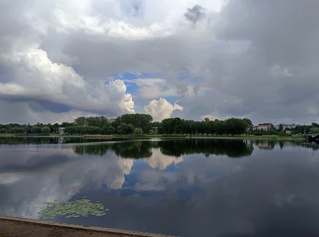 Глядя на небо. Восточная сторона... - Мария Васильева