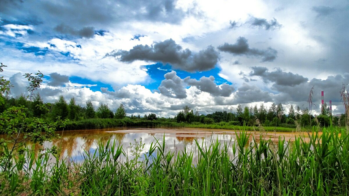 Озерцо с коричневой водой в пригороде Смоленска. - Милешкин Владимир Алексеевич 