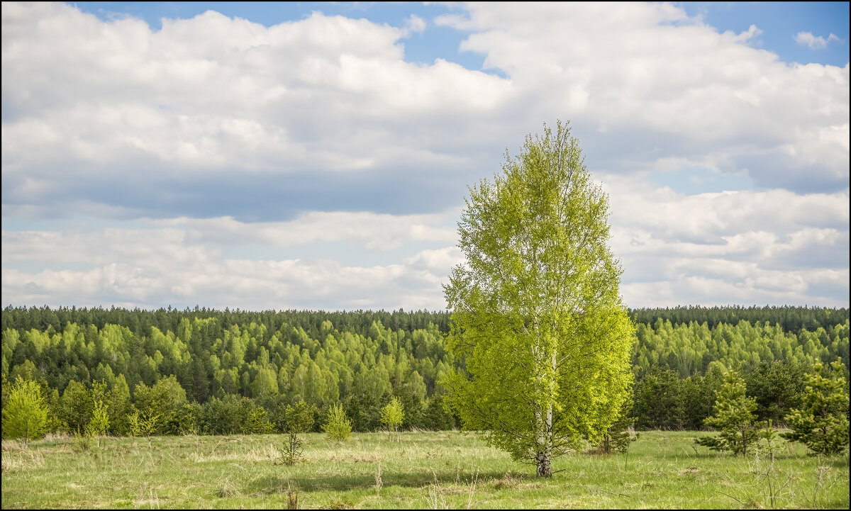 Майский парад - **** vedin