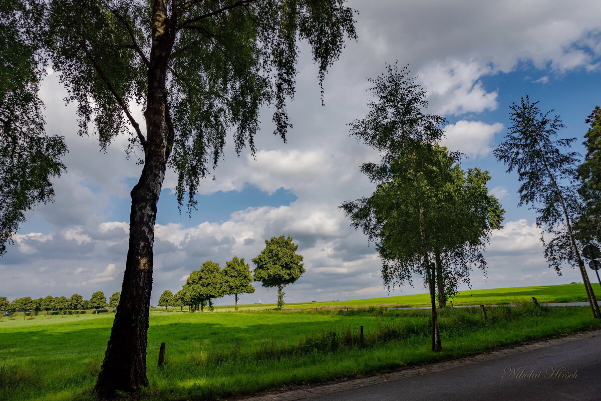 В горку... - Николай Гирш