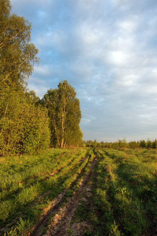 *** - Владимир Безбородов