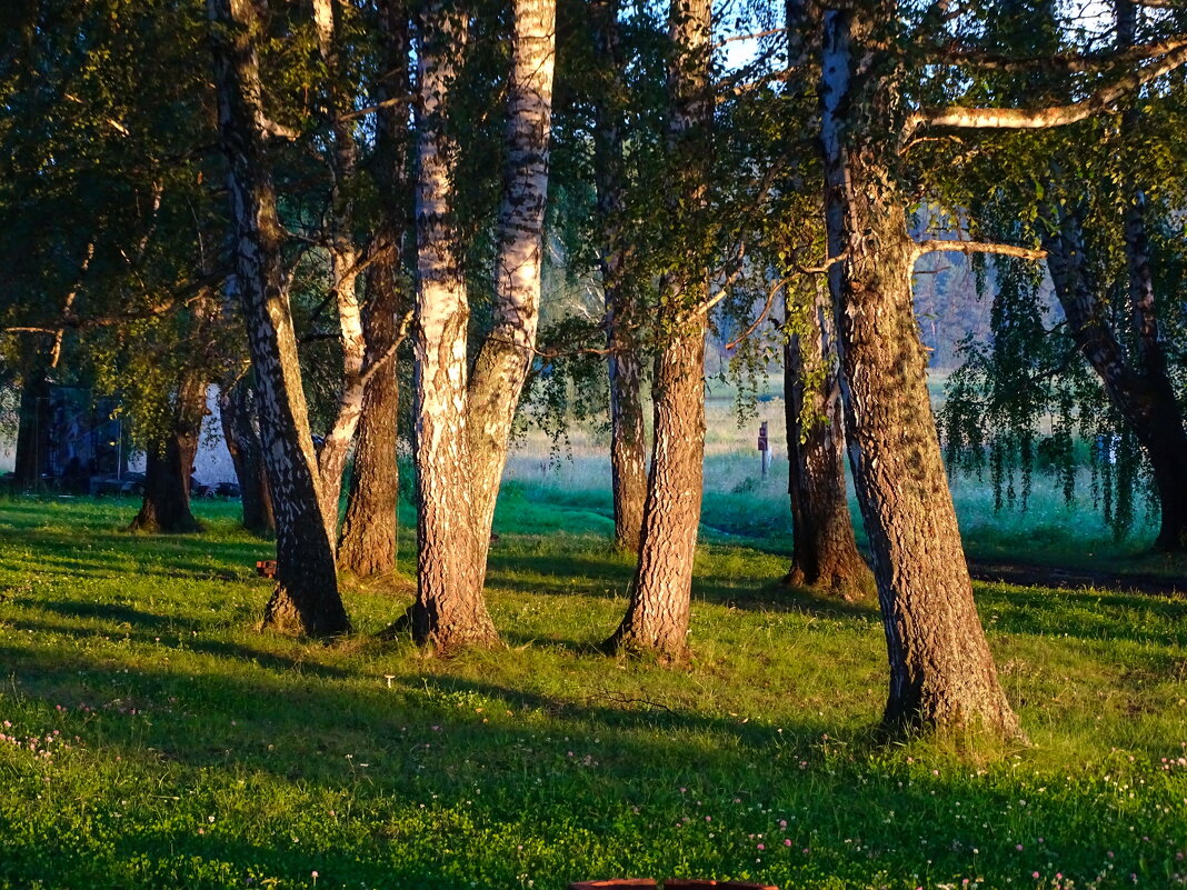 Прогулка - Павел Трунцев