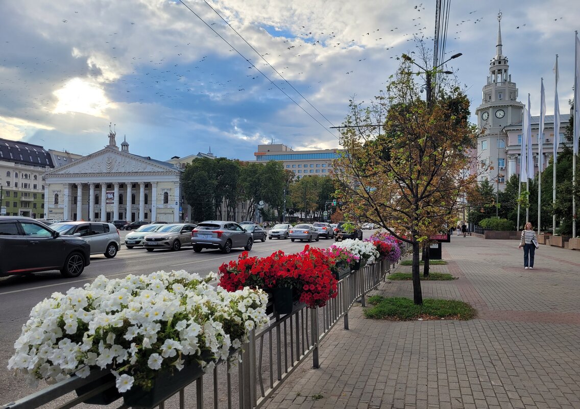 Первые признаки осени (31.07.2024 г.) - Татьяна Машошина