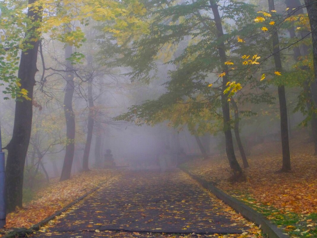 В осеннем парке..... - Юрий Цыплятников