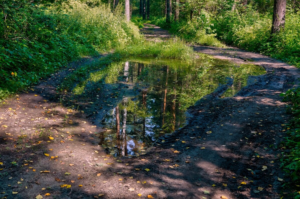 *** - Владимир 