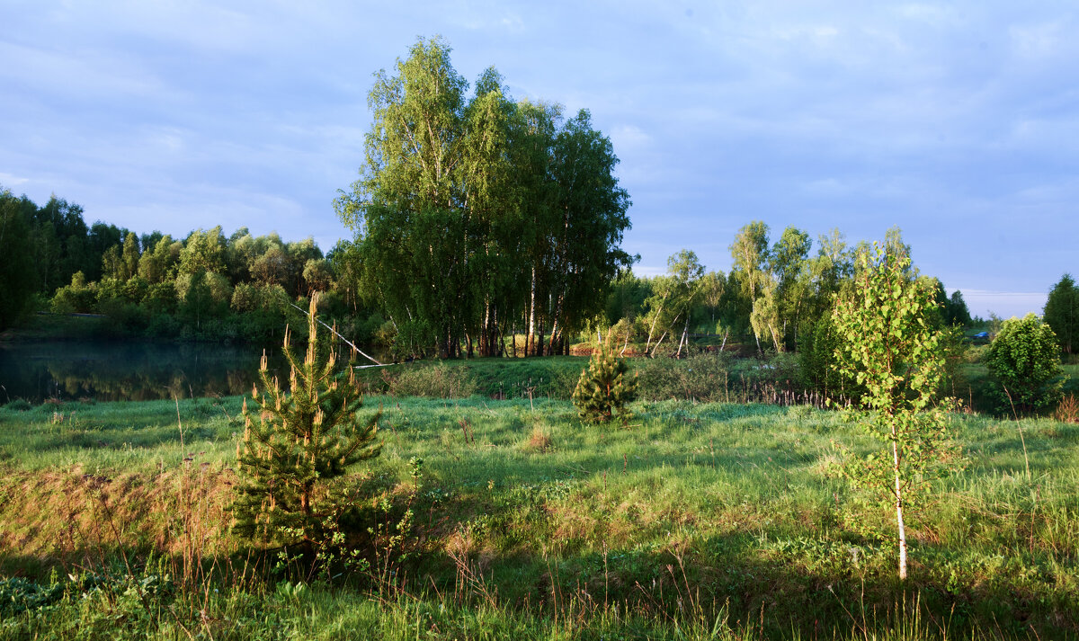 *** - Владимир Безбородов