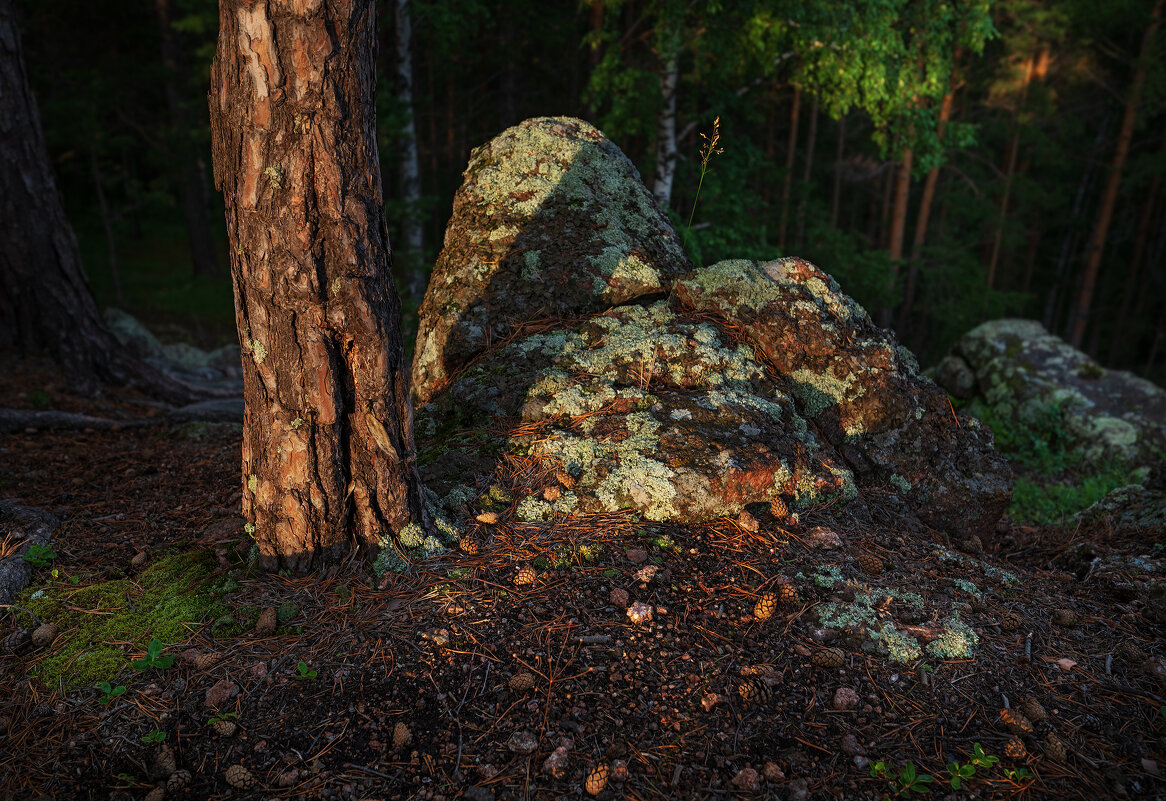 * - Александр Иванов