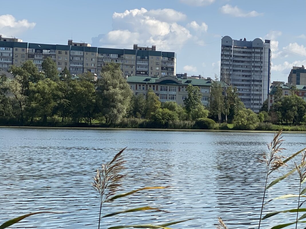 В жаркий полдень. - Татьяна Ф *