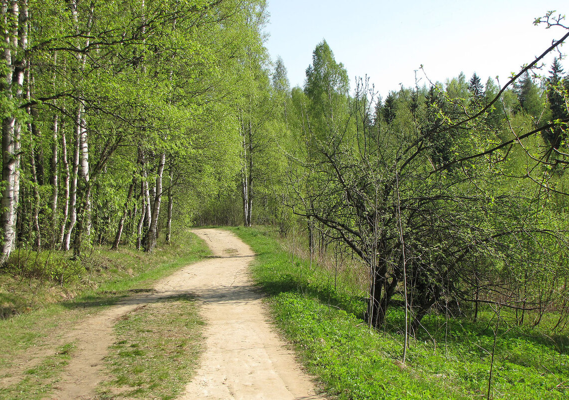 По краю косогора - Александр Ильчевский 